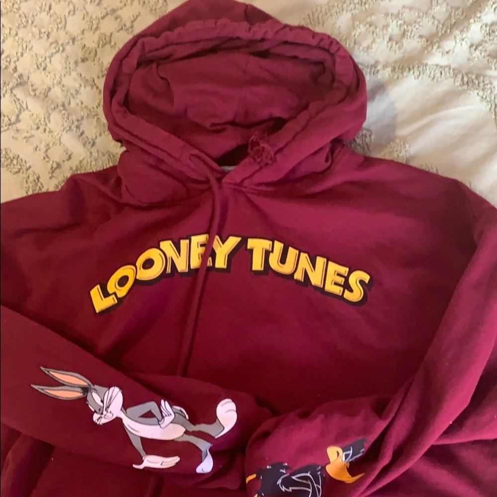 Cropped looney tunes hoodie